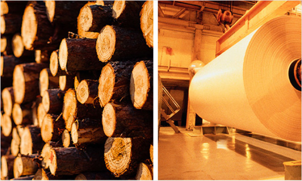 化工桶標(biāo)簽